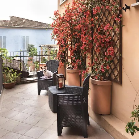 Palagi Pietrasanta