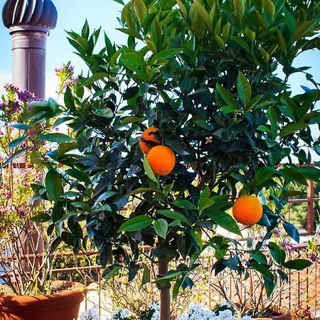 Palagi 3* Пьетразанта